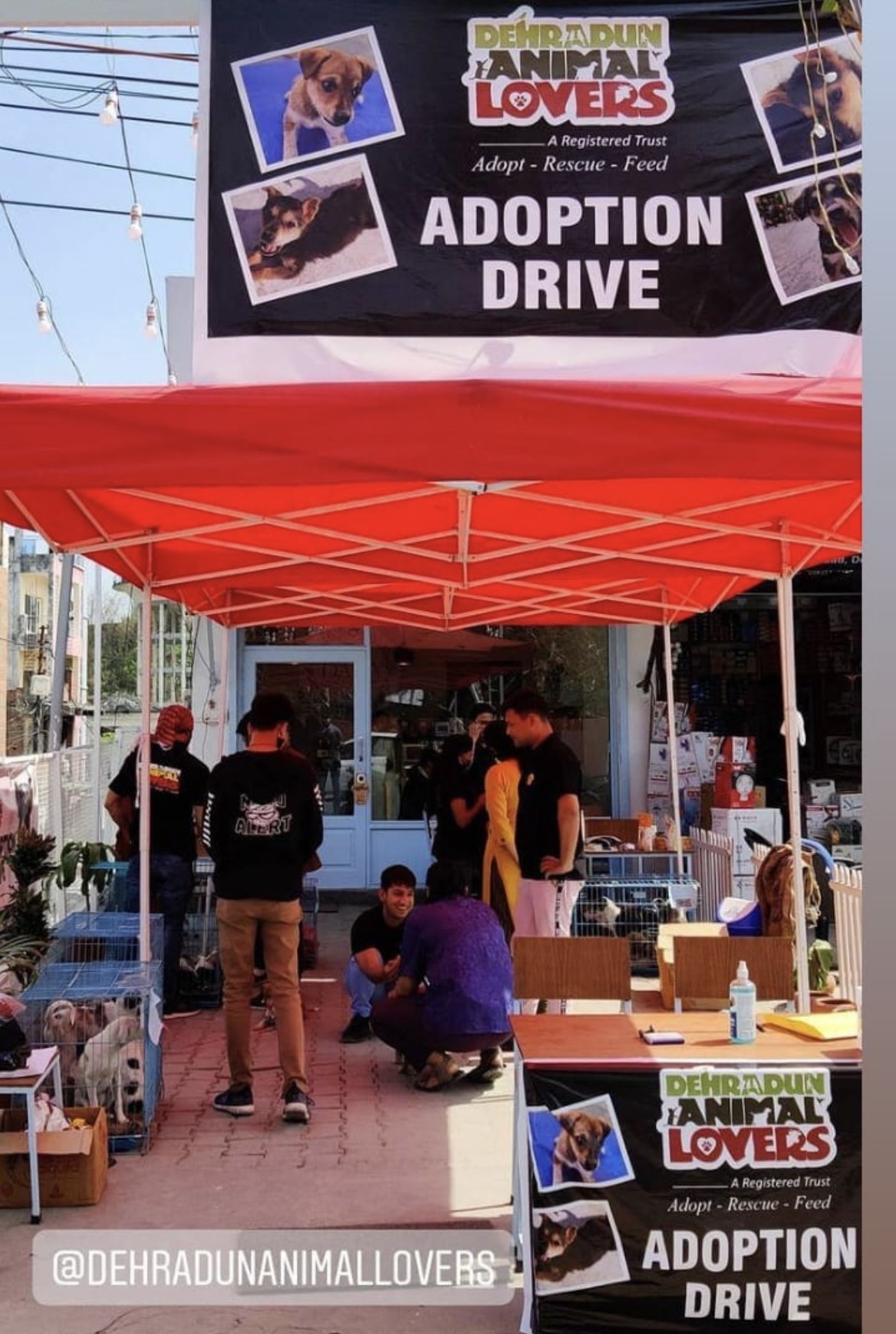 Adoption