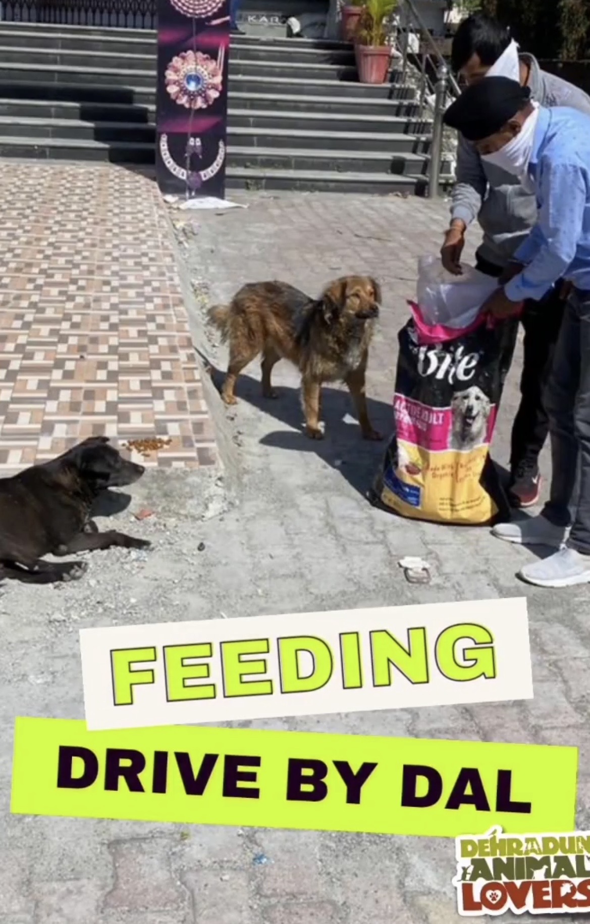 Feeding Drive