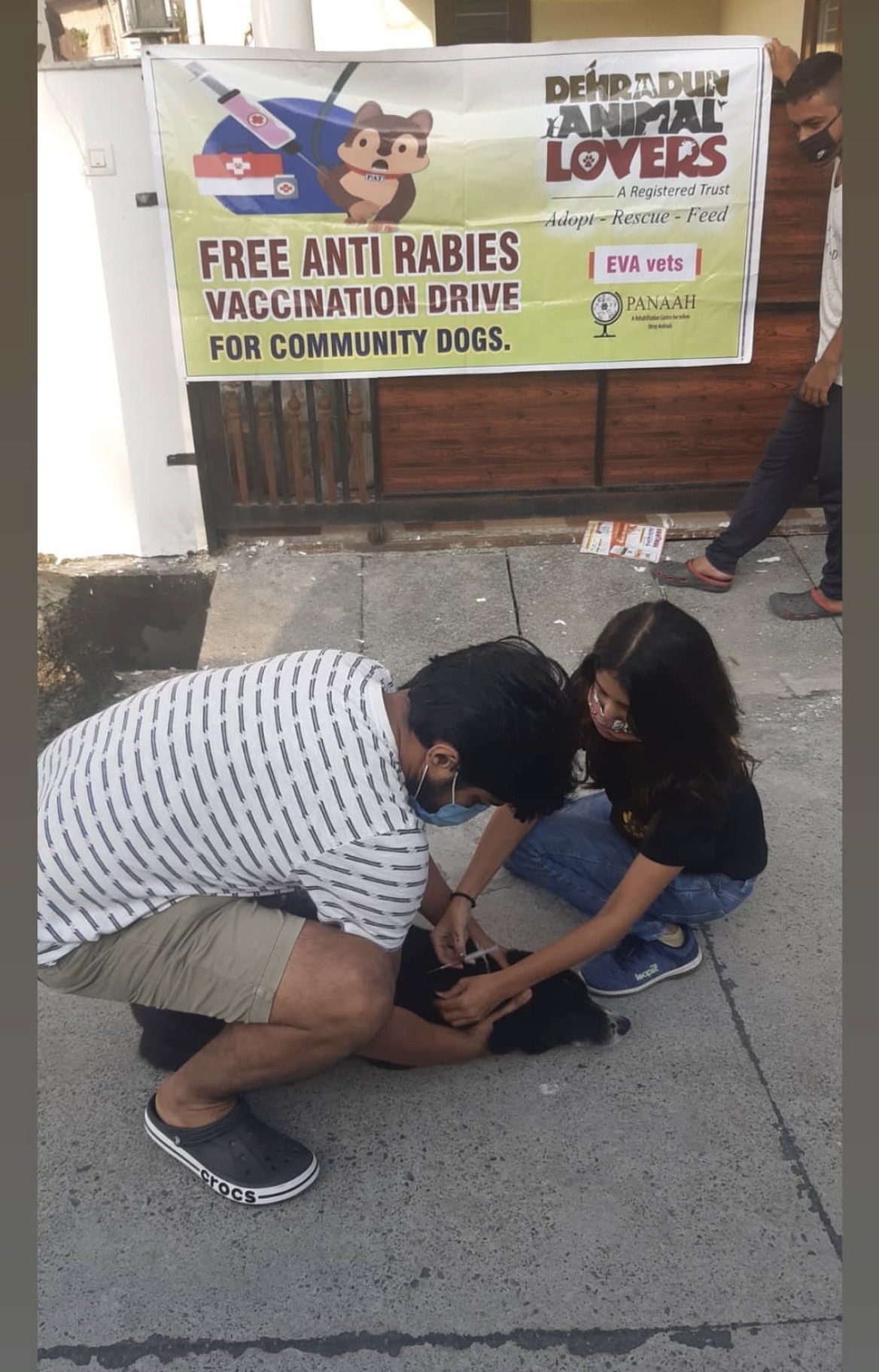 Anti-Rabies Drive