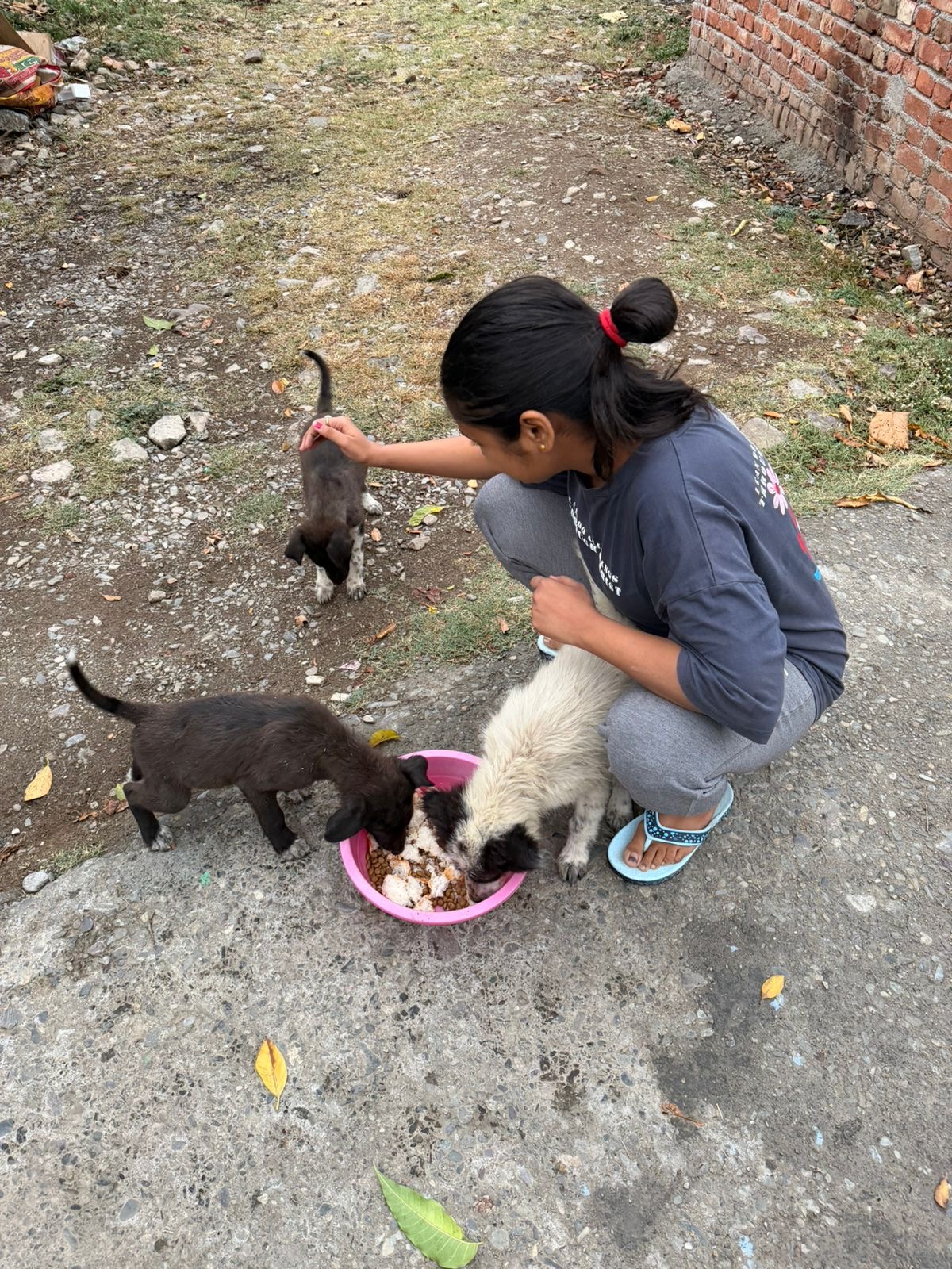 Saloni Feeding