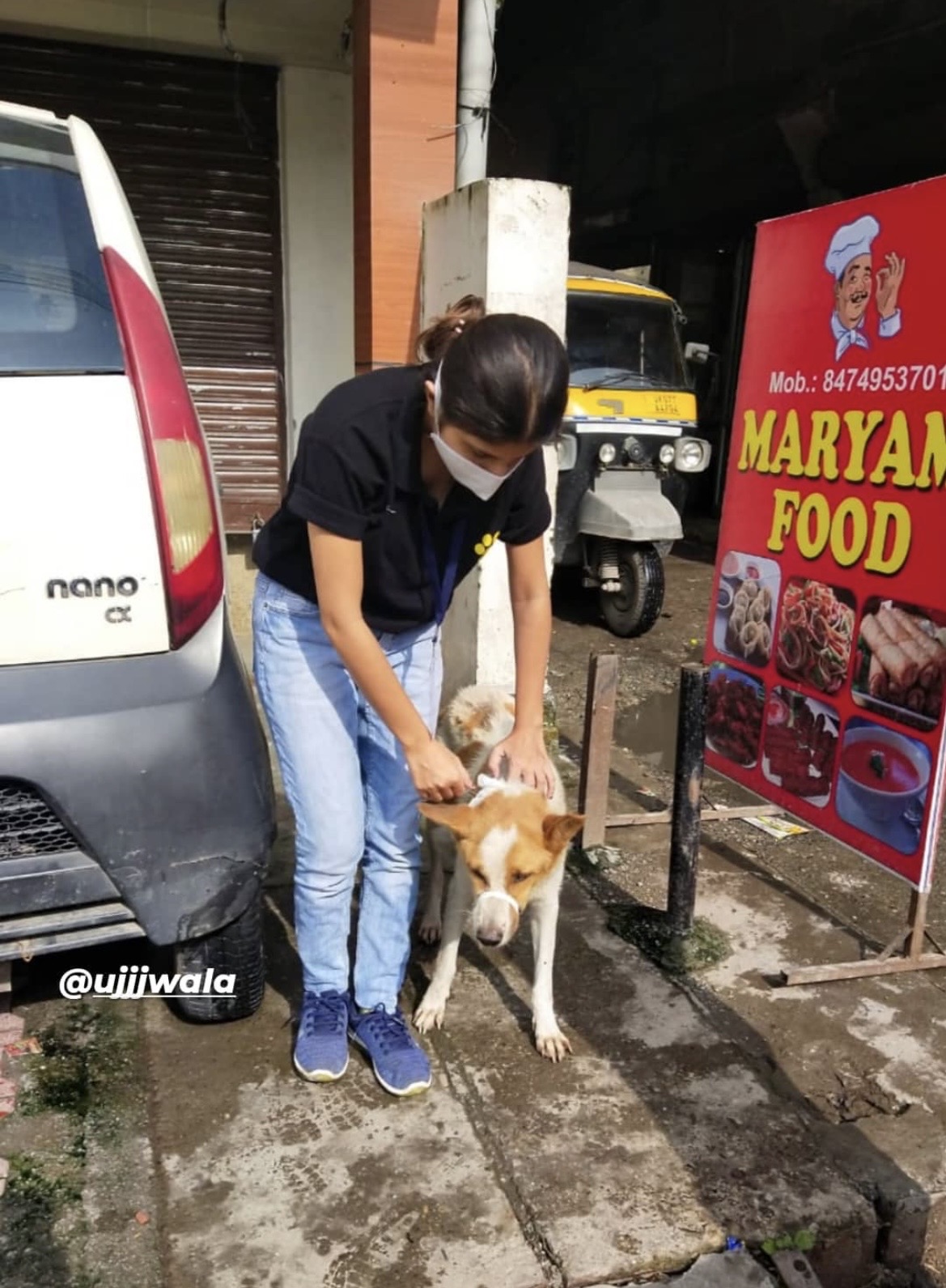 Animal Rescue